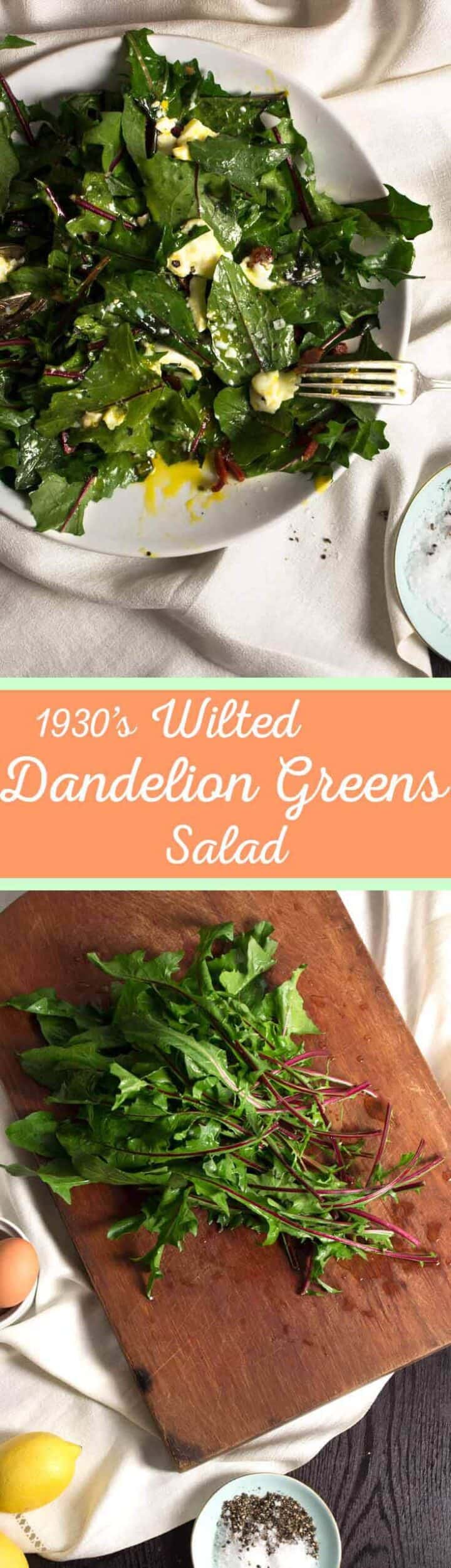 Wilted Dandelion Greens Salad Cup of Zest