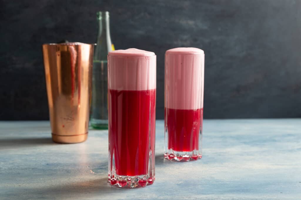 Vegan Cranberry Gin Fizz Cocktail w/ Aquafaba Cup of Zest