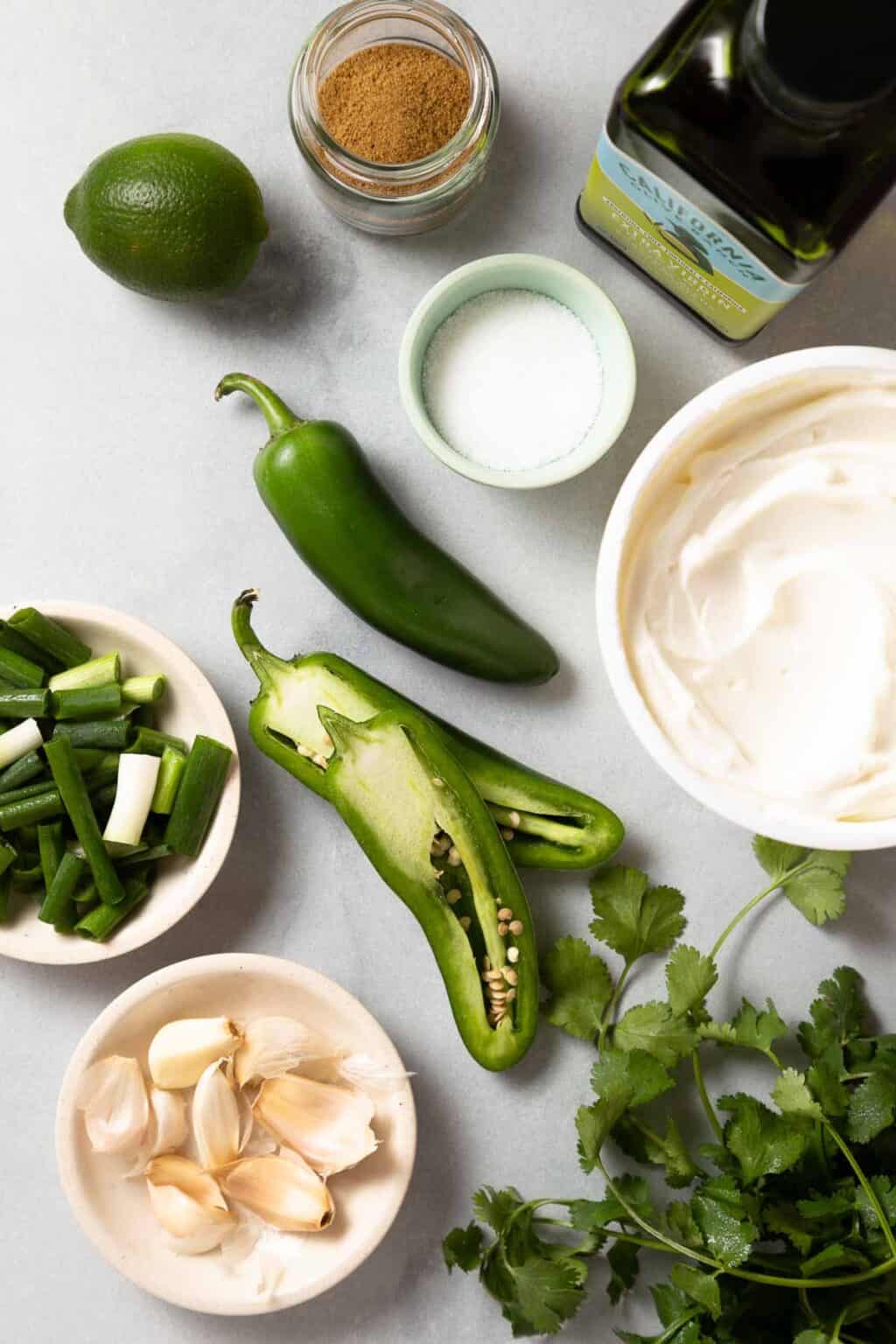 10 Minute Creamy Jalapeño Greek Yogurt Dip Cup of Zest