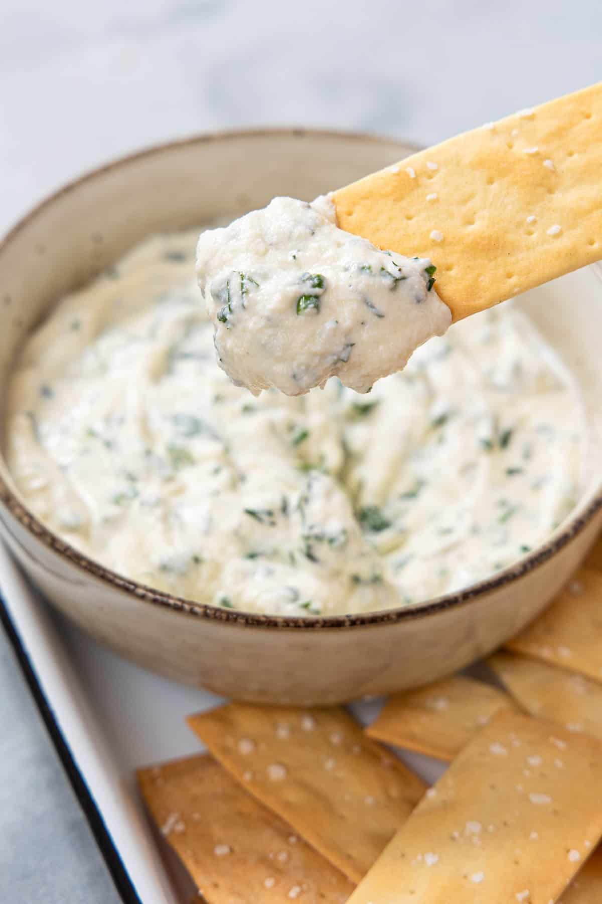 close up on a cracker with white herb ricotta dip.