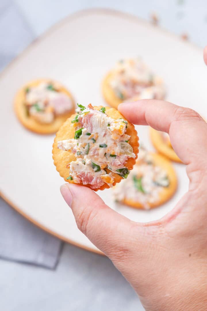 Ham and Cheese Cheese Ball (Easy Party Recipe) Cup of Zest